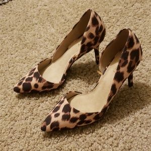 Leopard heals